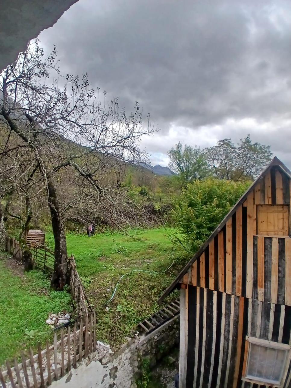 Bed and breakfast Bujtina Milani *