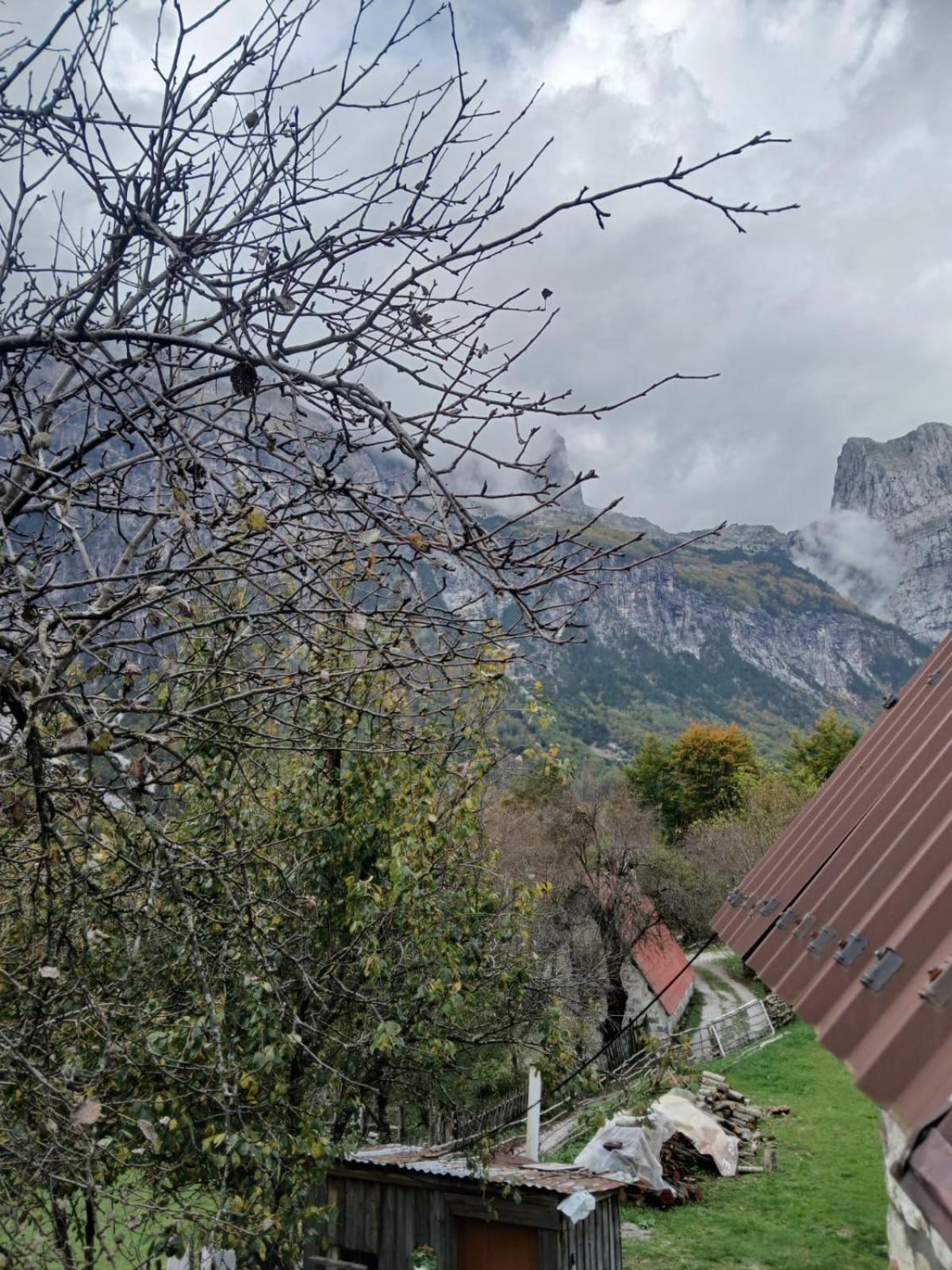 Bed and breakfast Bujtina Milani