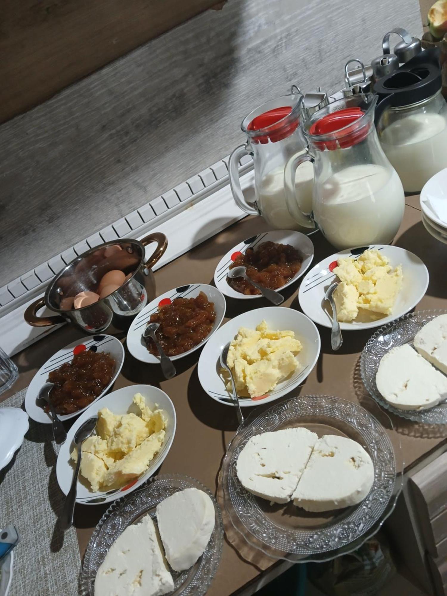 Bujtina Milani Shkodër