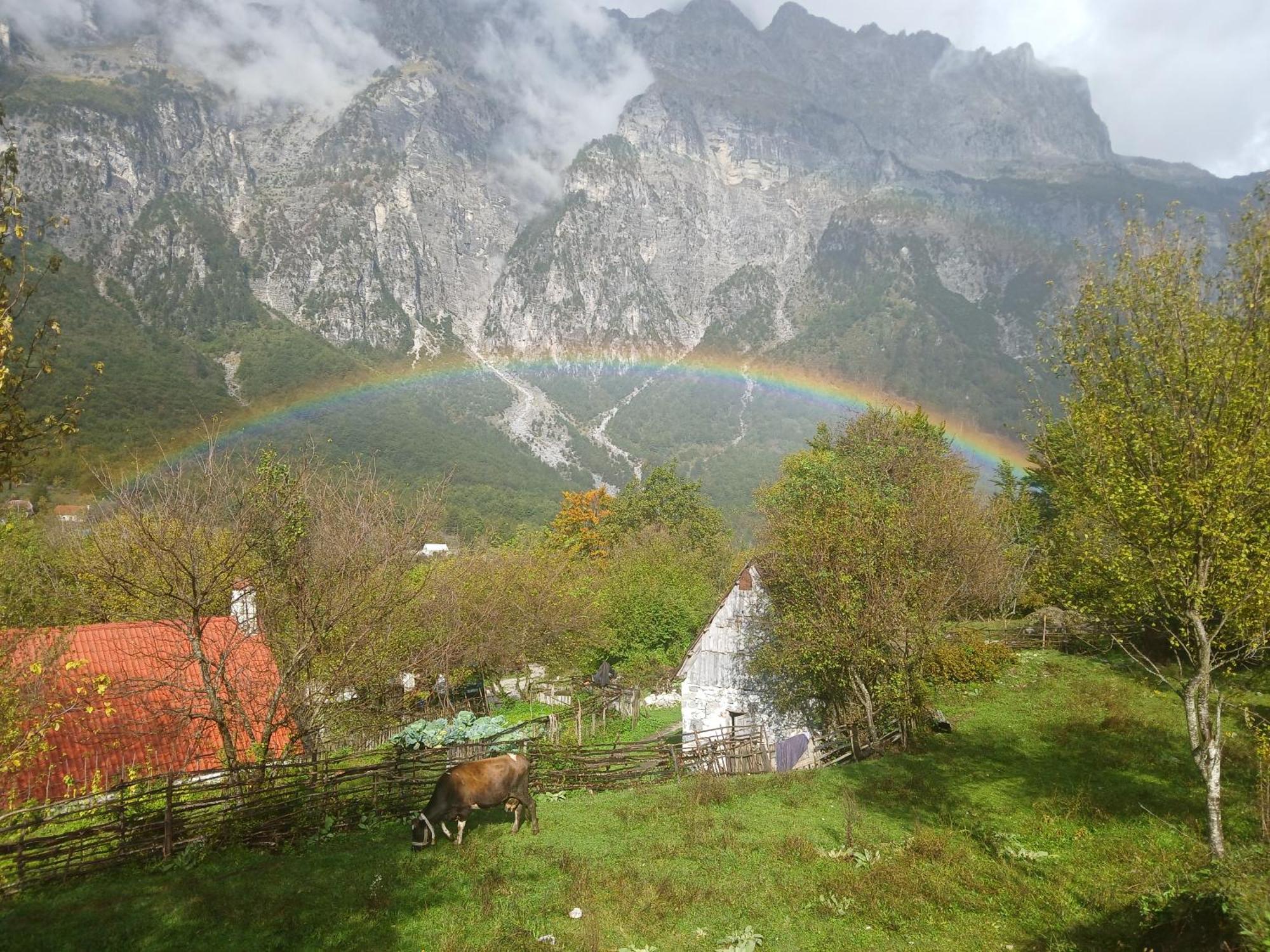 Bujtina Milani * Shkodër